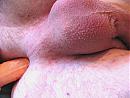 Ietsje verder......, foto 2048x1536, 1 reacties, 2 stemmen