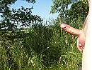 In de buitenlucht, foto 2048x1536, 2 reacties, 4 stemmen