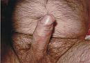 In de houding, foto 1672x1172, 0 reacties, 1 stemmen