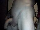In slappe toestand, foto 640x480, 1 reacties, 2 stemmen