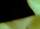 Inspectie, film 00:00:00, 4 reacties, 14 stemmen