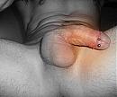 Just Horny, foto 720x594, 0 reacties, 1 stemmen