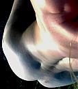 L.E.K.K.E.R.D.E.R.D.A.N.   8     9  6  11, foto 962x1104, 0 reacties, 0 stemmen