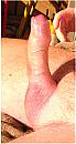 Lekker in het zonnetje, foto 332x629, 2 reacties, 3 stemmen