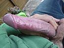 Lekker stiekem met je lul in de tuin, foto 1417x1063, 0 reacties, 2 stemmen