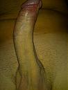 Lekker, foto 1944x2592, 2 reacties, 6 stemmen