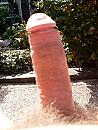 Lekkere GEILE pik dames, foto 360x480, 0 reacties, 1 stemmen