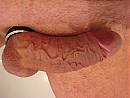Lekkere pik, foto 2592x1944, 0 reacties, 0 stemmen