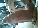 Lekkere pik, foto 1600x1200, 0 reacties, 2 stemmen