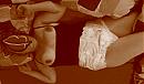 Luiers, foto 1244x720, 7 reacties, 10 stemmen