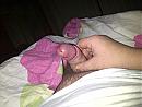 Mmmmm wij wil, foto 2592x1944, 0 reacties, 0 stemmen