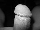 M'n helm..., foto 1704x1278, 1 reacties, 3 stemmen