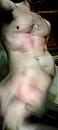 M'n schaduw geeft nu ook al licht..., foto 1308x2952, 0 reacties, 0 stemmen