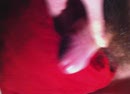 Nog een keertje, film 00:00:00, 8 reacties, 10 stemmen