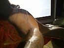 OOK NIKS AAN DUS, foto 1280x960, 0 reacties, 0 stemmen