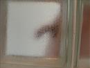 Onder de douche, foto 2592x1944, 0 reacties, 0 stemmen