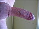 Opgewonden type, foto 640x480, 0 reacties, 3 stemmen