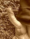Outdoor.., foto 1200x1600, 0 reacties, 4 stemmen