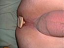 Plug, foto 600x450, 4 reacties, 20 stemmen