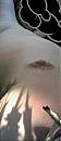 SCHITTEREND, foto 512x1198, 0 reacties, 0 stemmen
