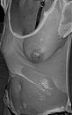 See through, foto 1531x2431, 2 reacties, 9 stemmen
