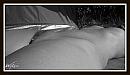 Sunshine, foto 3849x2194, 3 reacties, 12 stemmen