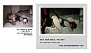 The Process, foto 1147x664, 0 reacties, 1 stemmen
