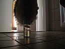 Toy-2, foto 3648x2736, 1 reacties, 2 stemmen