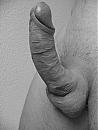 Uit de oude doos......, foto 1536x2048, 0 reacties, 5 stemmen