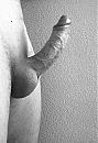 Volle ballen, foto 921x1358, 0 reacties, 4 stemmen