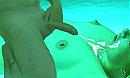 Voor Privat, foto 1025x615, 2 reacties, 12 stemmen