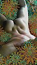 WEL TE VREE, foto 1177x2080, 0 reacties, 0 stemmen