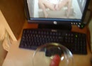 Wat een lading zaad, film 00:00:00, 3 reacties, 1 stemmen