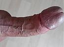 Weer geil..., foto 2272x1661, 0 reacties, 2 stemmen