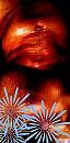 Z..O..M..E...R...., foto 1057x2174, 0 reacties, 0 stemmen