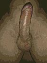 Zo lekker...., foto 1944x2592, 0 reacties, 2 stemmen