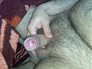 петух, foto 2048x1536, 0 reacties, 1 stemmen