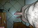 ,,, foto 3264x2448, 3 reacties, 14 stemmen