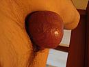 balls, foto 640x480, 0 reacties, 0 stemmen