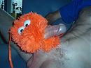 beesie, foto 3072x2304, 2 reacties, 3 stemmen