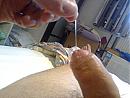 beetje nat, foto 600x450, 0 reacties, 0 stemmen