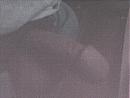 bevalt die, foto 640x480, 0 reacties, 1 stemmen