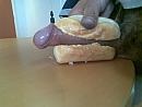 buiten funn, foto 1600x1200, 1 reacties, 0 stemmen
