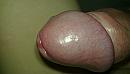 close up1, foto 2560x1440, 0 reacties, 1 stemmen