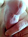 cock2, foto 567x756, 0 reacties, 0 stemmen