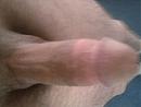 delikadir, foto 800x600, 1 reacties, 1 stemmen