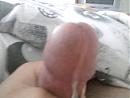 delikadir, foto 800x600, 0 reacties, 1 stemmen