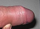 deze eikel, foto 480x346, 1 reacties, 2 stemmen