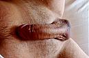 dick, foto 2231x1471, 0 reacties, 0 stemmen
