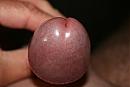 eikel, foto 3888x2592, 0 reacties, 1 stemmen